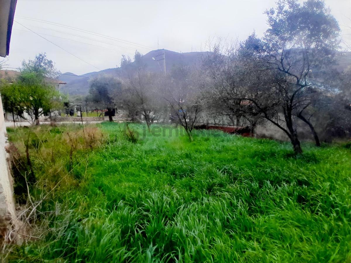 Geyve Bağlarbaşı 300 M2 Satılık Köyiçi Arsa - 16