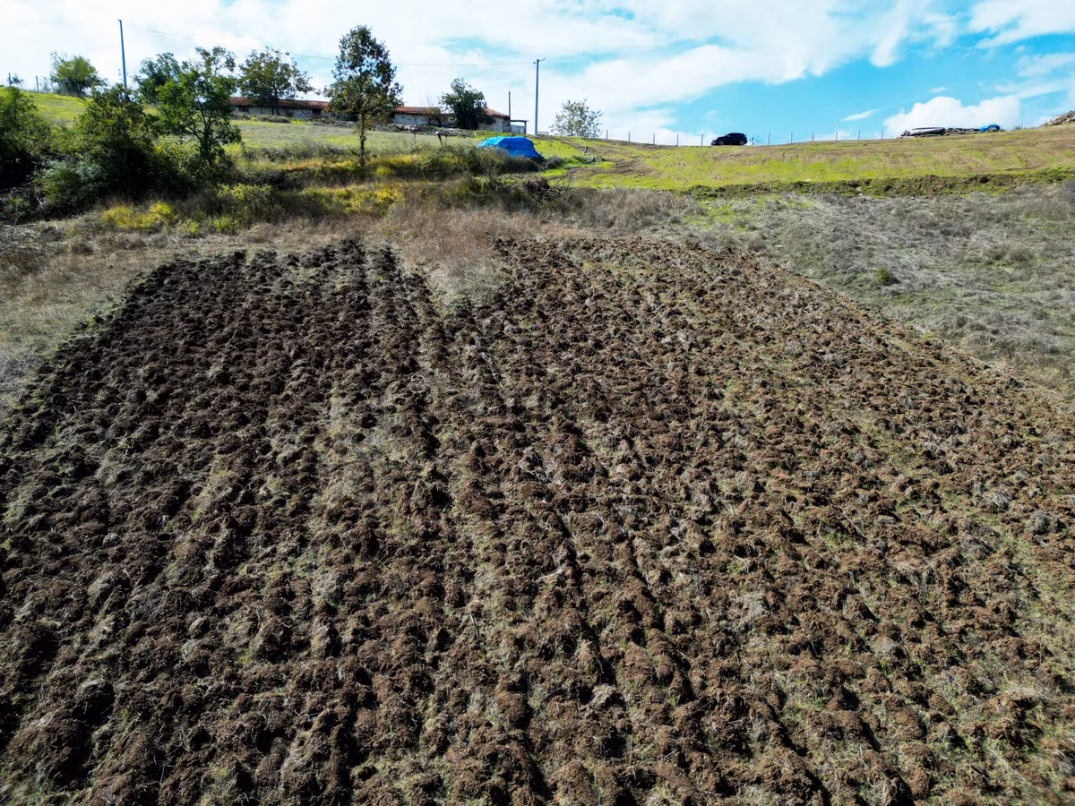Uzmanlar'dan Karamürsel Çamdibi Satılık 10.972 M2 Tarla - 11