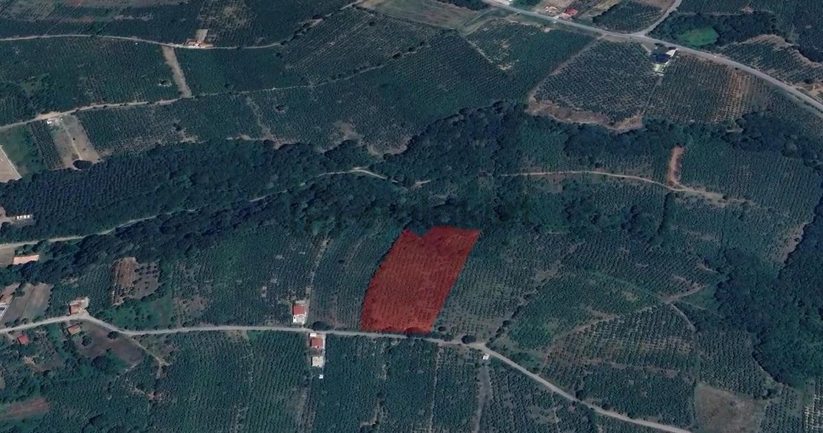 İkramiye De Çok Amaçlı Parsel - 15