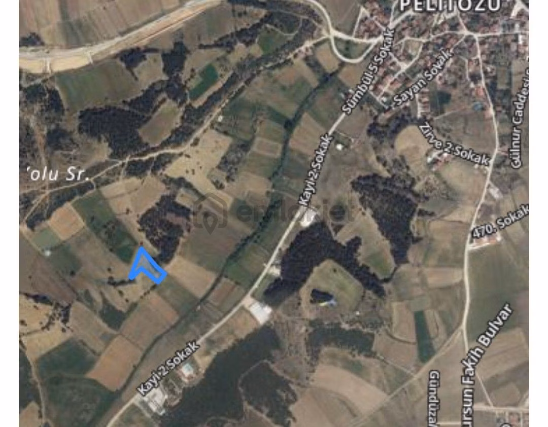 Sahibinden Pelitözü Gölpark Yolu Üzerinde Satılık Hisseli Tarla