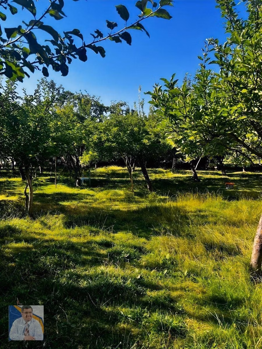 Buzhane Mahallesinde 483 M2 Satılık Arsa - 4