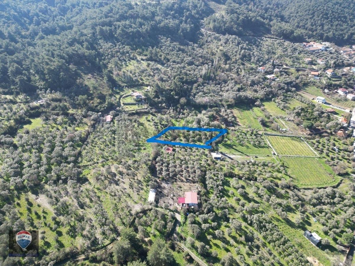 Kuşadası Kirazlıda Fırsat Bahçe - 6
