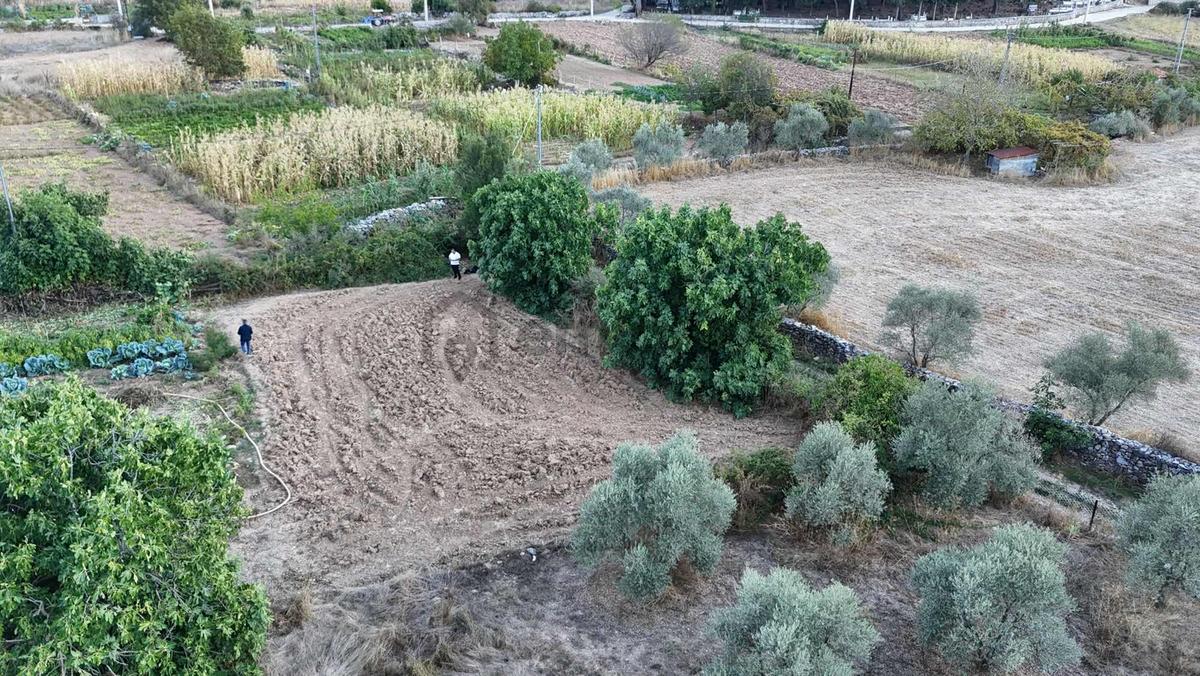 Muğla Denizovada 477 M² Tek Tapu | 250 M² İmarlı | Denize 15 Dk - 13