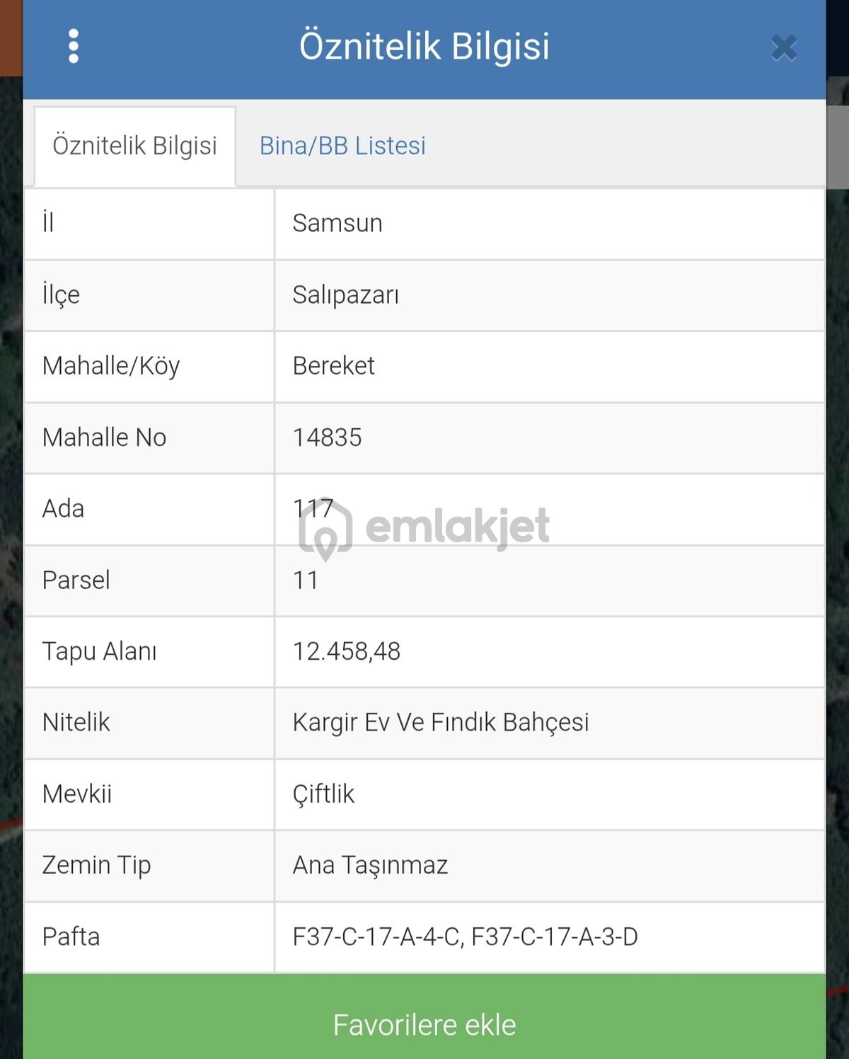 Salıpazarı Satılık Tarla - 4