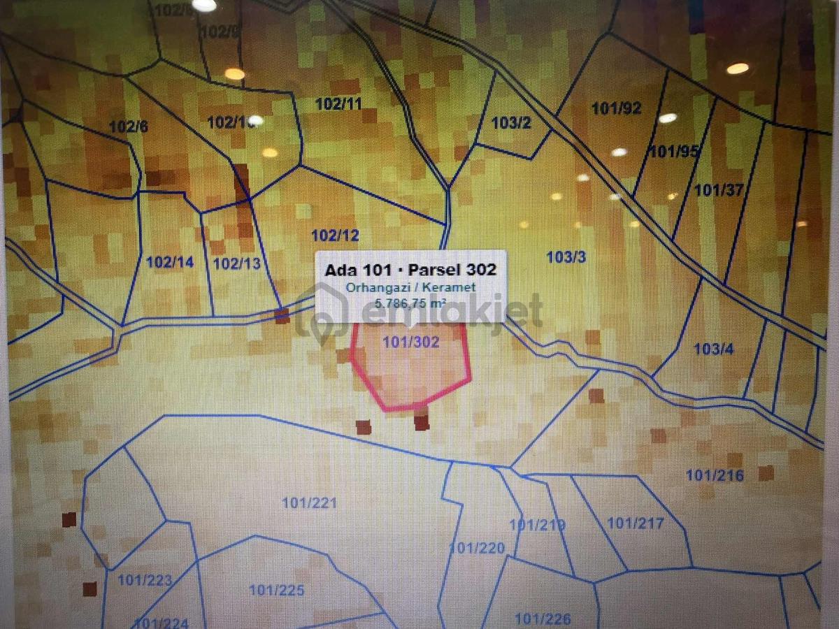 Satılık 5.786 Metrekare Arazi - 4