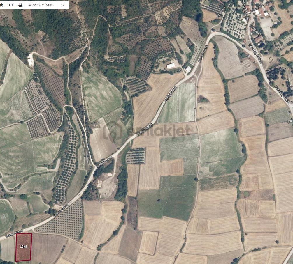 Karacabey,sahibinden Satılık Tarla, - 2