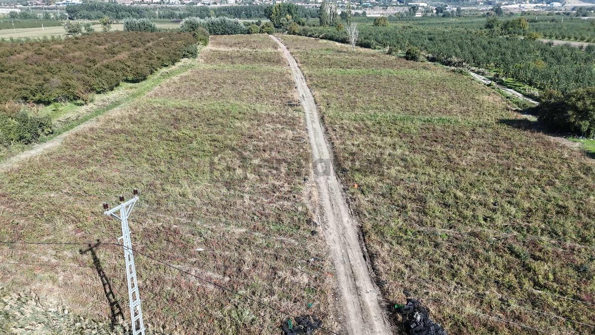 Remax Design Geyve'de 28.604 M2 Tarla - 9