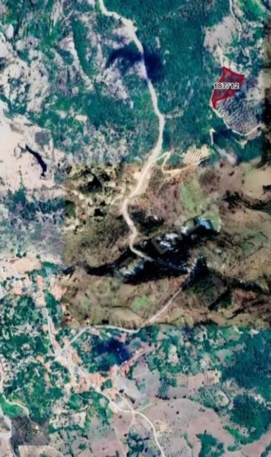 Balıkesir'de Satılık Tam Hisse Bahçe - 3