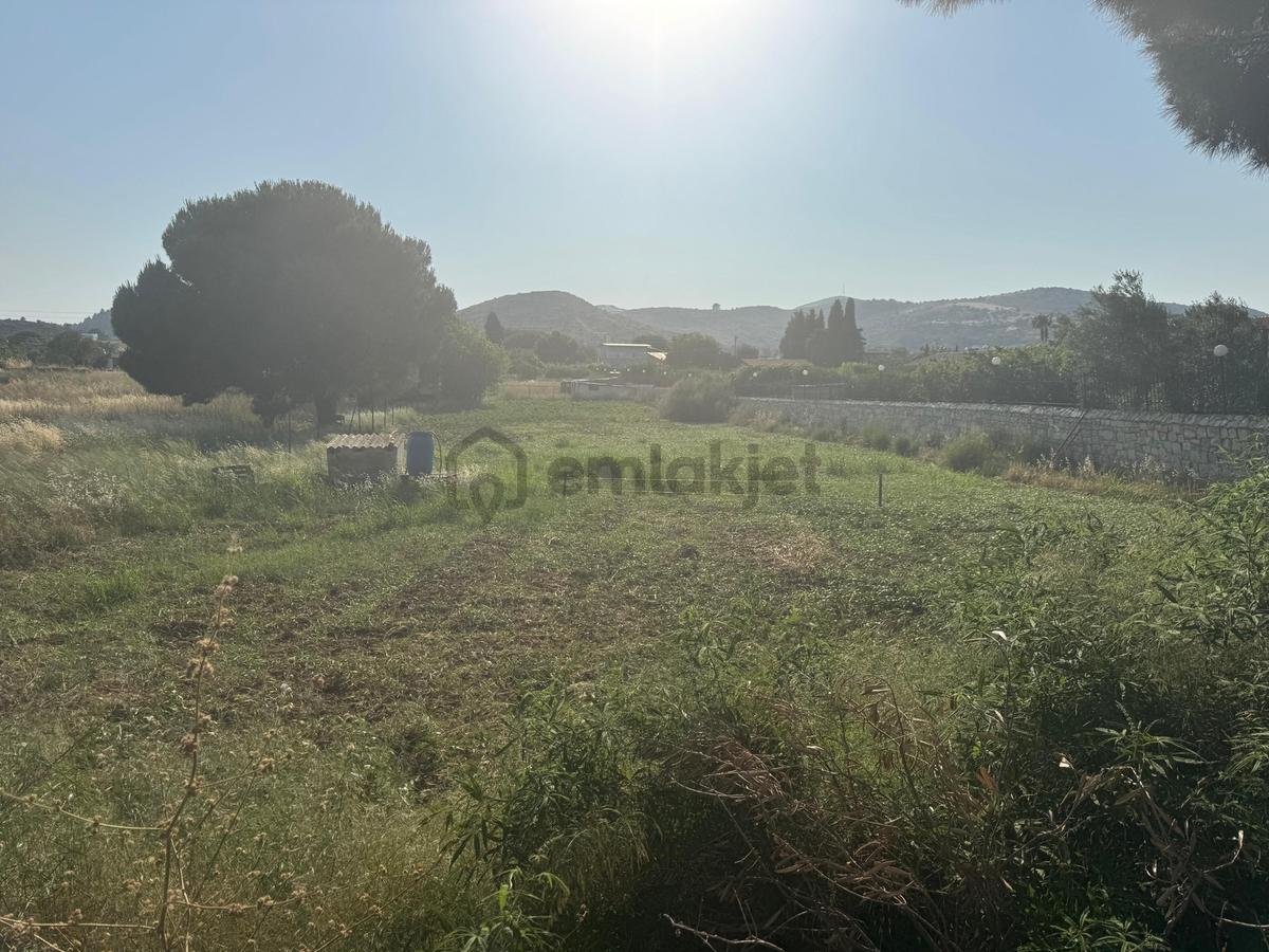Urla İskele Ağaçlı Yolda Satılık Tarla - 8