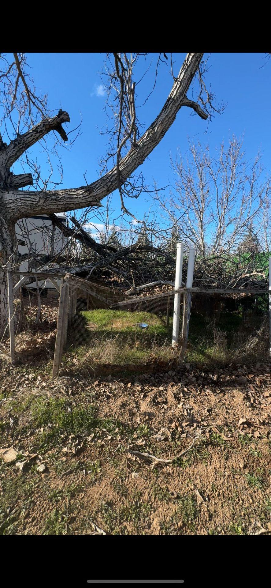Isparta Büyükgökçeli'de 851m2 Satılık Bağ - 15