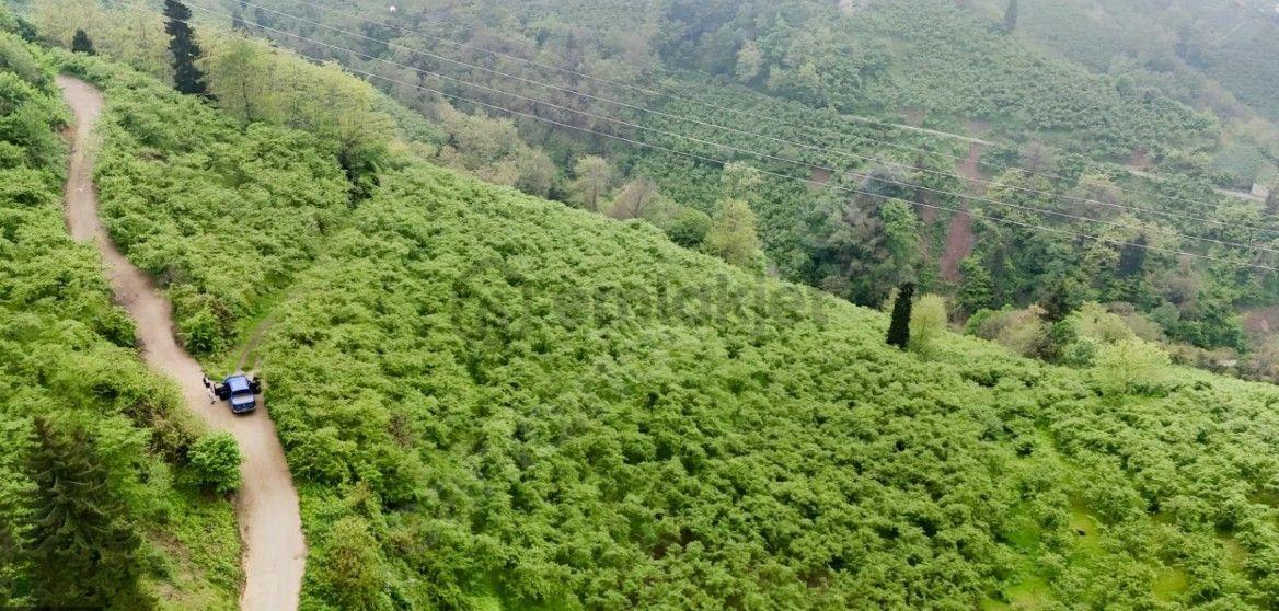 Topaloğlu Emlaktan Geçit Mahallesinde Arsa - 6