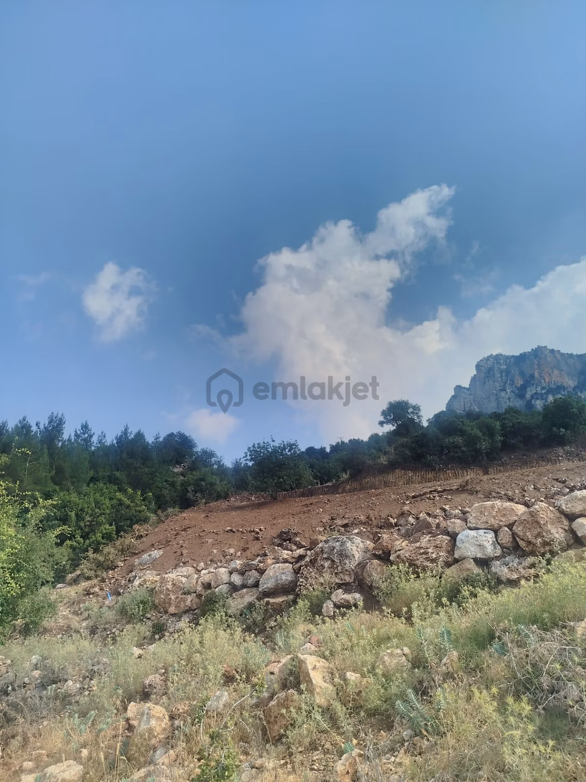 Sahibinden Doğa Manzaralı Satılık Tarla! - 6