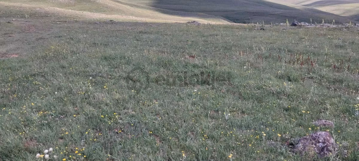 İspir Ortaören'de 6448 M² Tarla - 16
