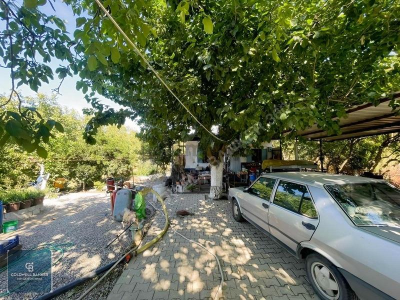 Bayındır Ergenlide 10 Dönüm Cevizlik İçinde Ruhsatlı Ev! - 30