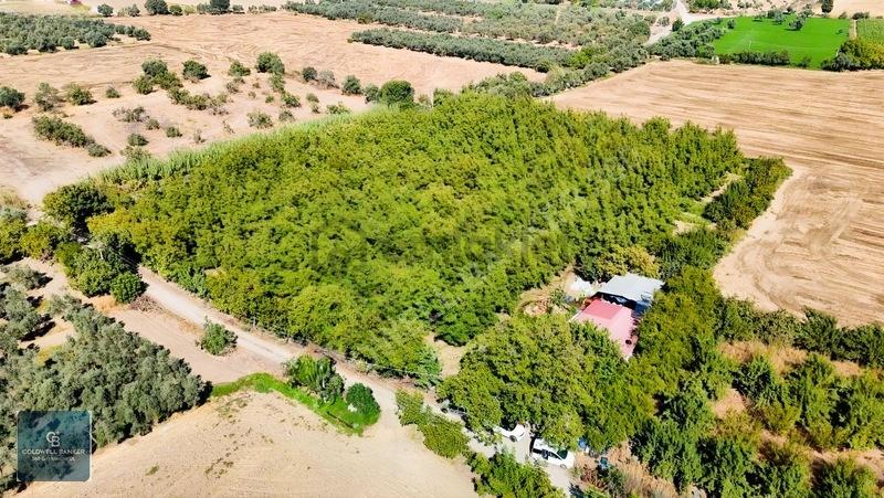 Bayındır Ergenlide 10 Dönüm Cevizlik İçinde Ruhsatlı Ev! - 14