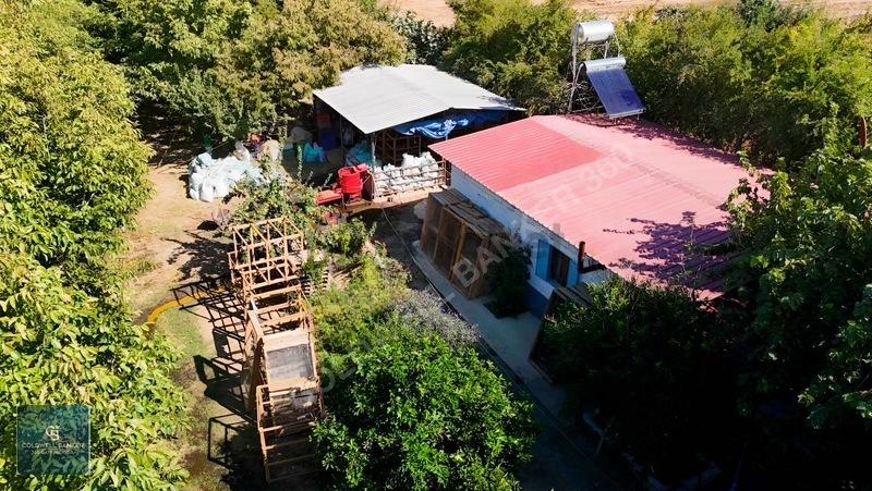 Bayındır Ergenlide 10 Dönüm Cevizlik İçinde Ruhsatlı Ev! - 2