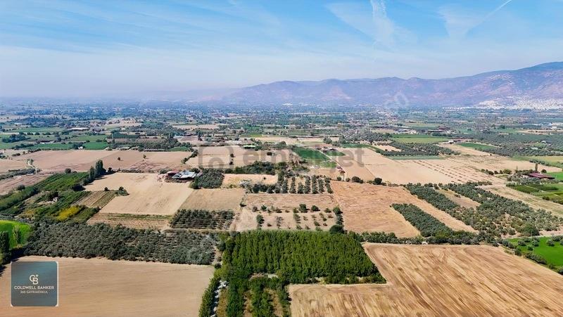 Bayındır Ergenlide 10 Dönüm Cevizlik İçinde Ruhsatlı Ev! - 20