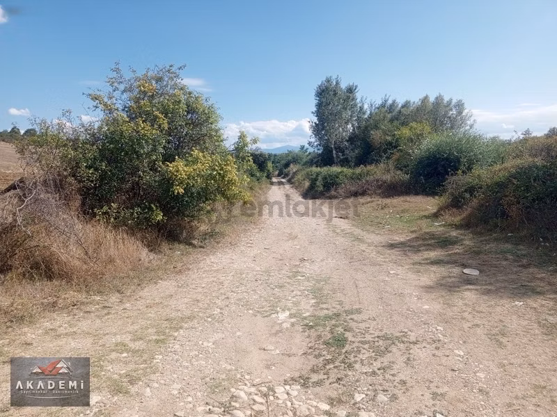 Kastamonu Merkez Hocaköyünde İçinde Evi İle - 6