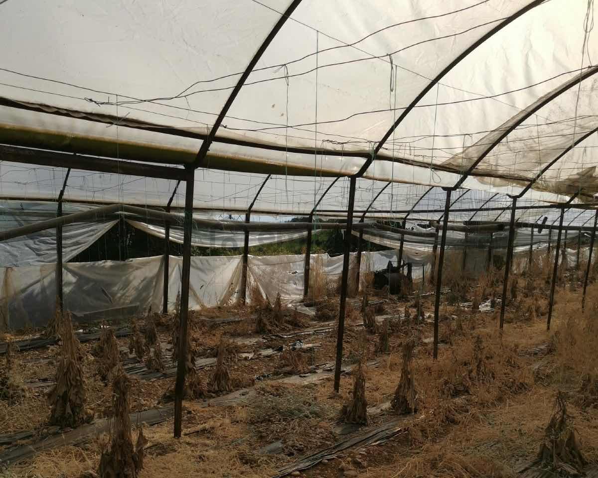 Full Deniz Manzaralı Bir Kısmı İmatlı Finike De Arsa Ve Tarla - 29