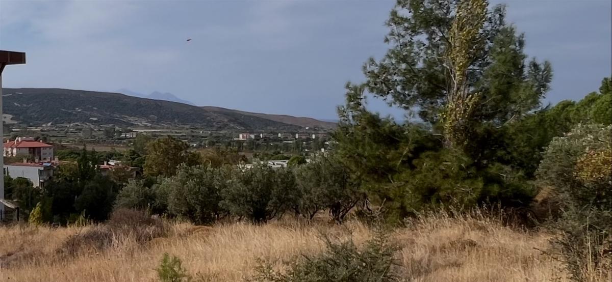 Gökçeada Turkuaz Gayrimenkul - 2