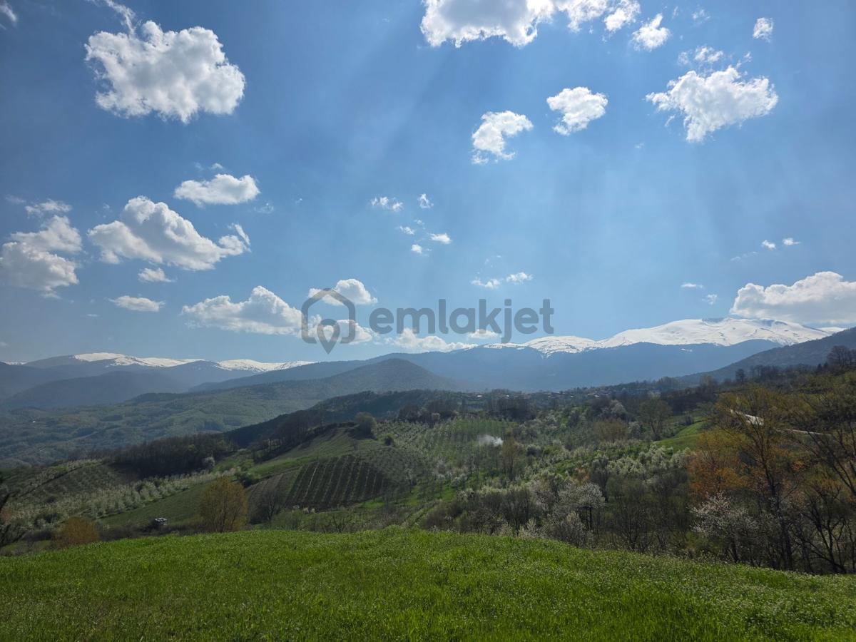 Sahibinden İnşaat Ruhsatlı 5600 M2 Yatırımlık - 28