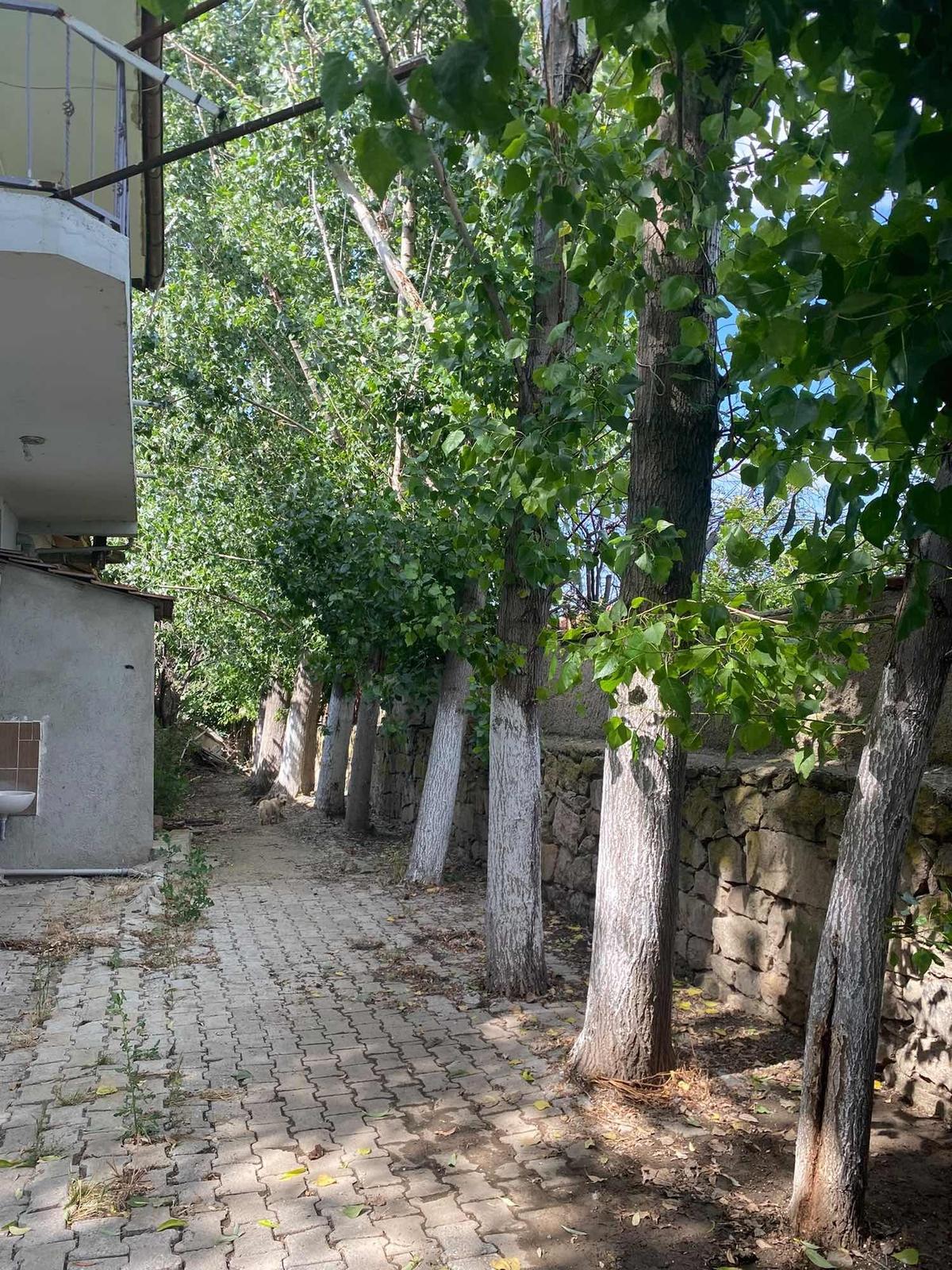 Bozoklu Emlaktan Akören De Satılık Çiftlik - 18
