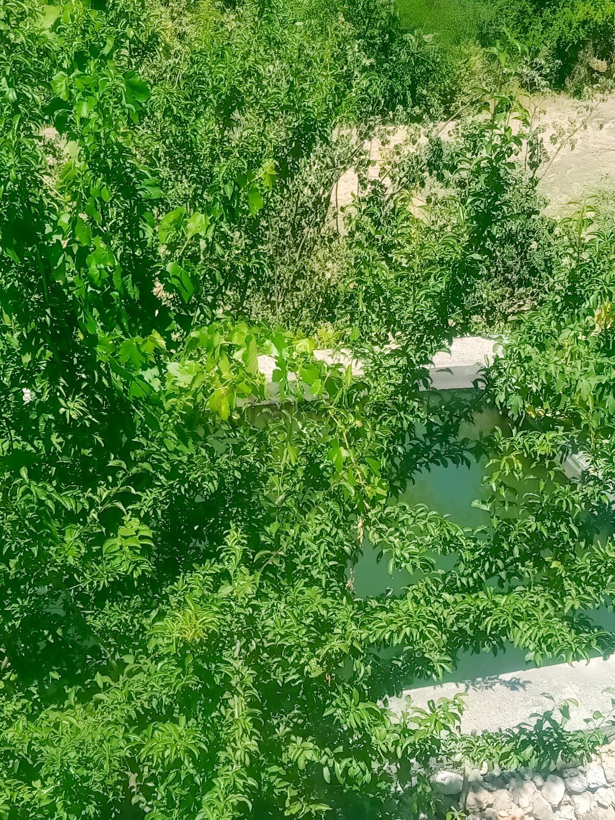 Saimbeyli /gürleşende Satılık Ev Ve Bahçe 3800m² - 15