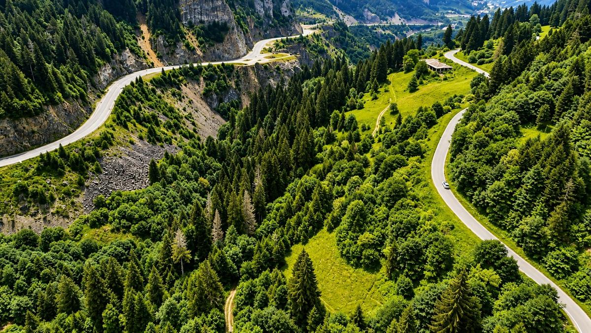 Trabzon Hamsiköyde Satılık 16000 M2 Arazi - 10