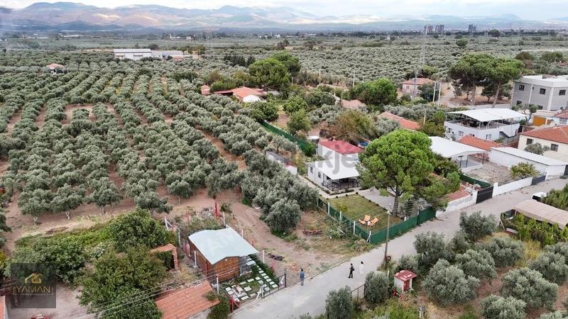 Medar Mahallesi'nde Satılık Tarla & Zeytinlik - 16