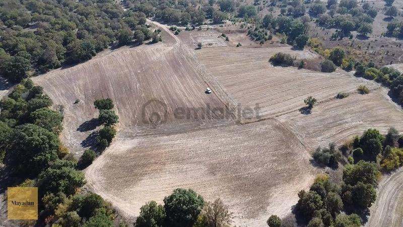Mayadan Müstakil Tapu 3.000m2 Tarla - 9