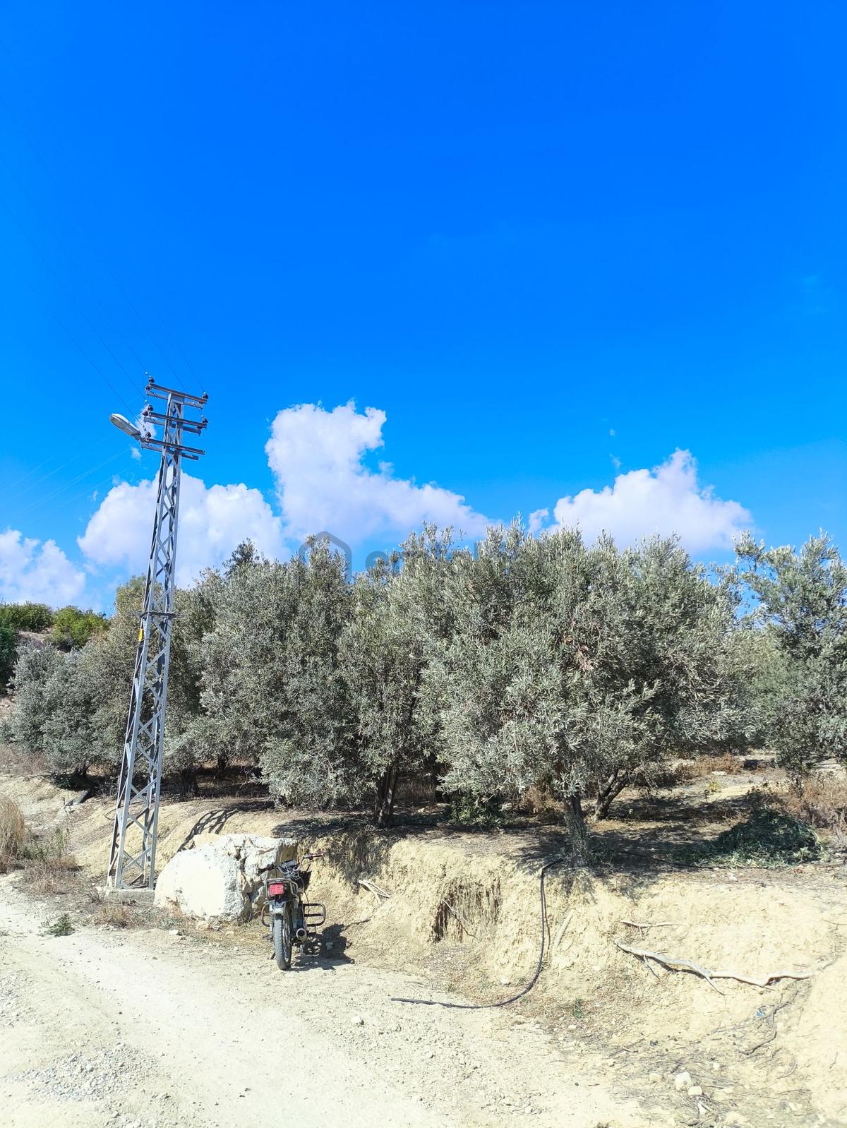 Sahibinden Satılık Arsa - 26