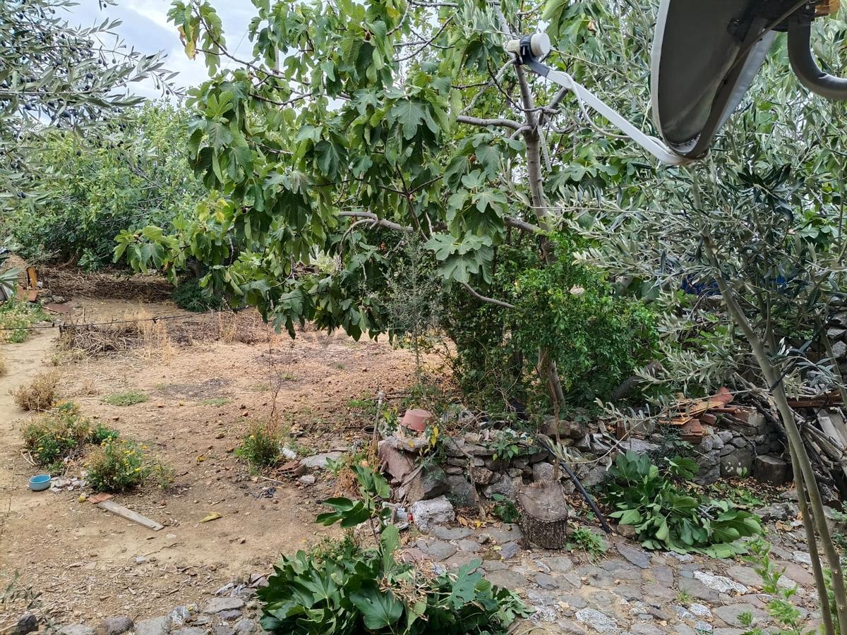 Çamoba Merkezde 494 M2 Müstakil Ev - 9