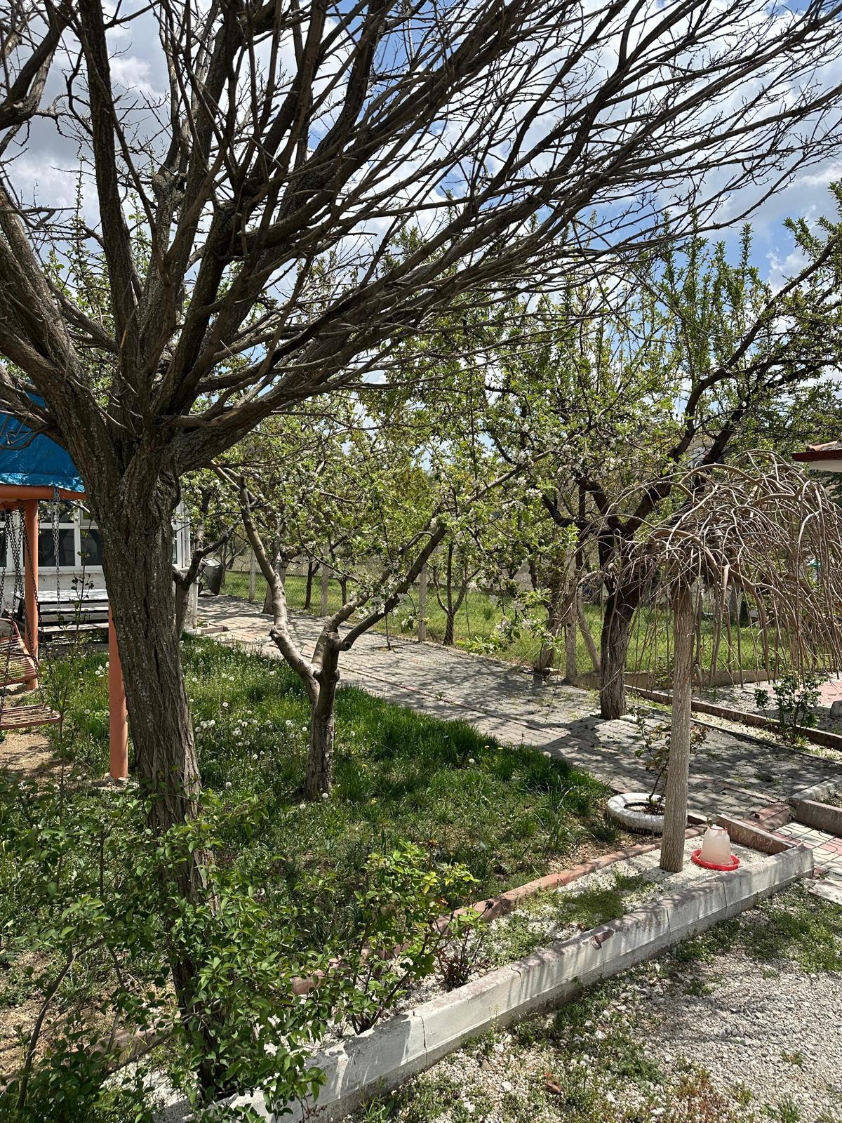 Sahibinden **akyurt Bağlarda Acil Satılık Millet Bahçesi Girişinde Müstakil Ev - 8
