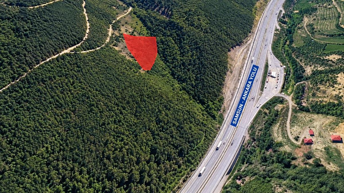 5557 M2/tek Tapu/satılık Tarla/remax Serhat - 4