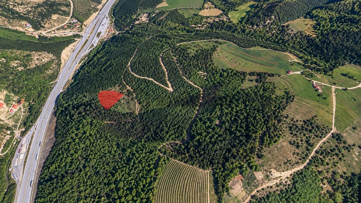 5557 M2/tek Tapu/satılık Tarla/remax Serhat - 9