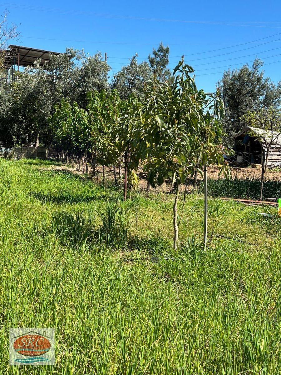 Mersin Anamur Satılık Müstakil Arsa - 18
