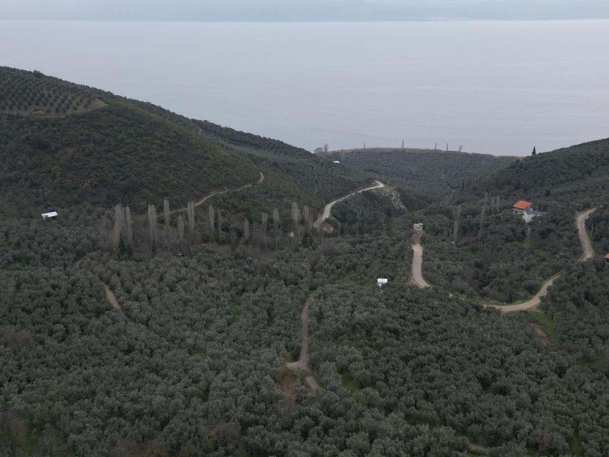 Müftüoğlu'ndan İznik Müşküle Mah. Satılık Tarla - 8