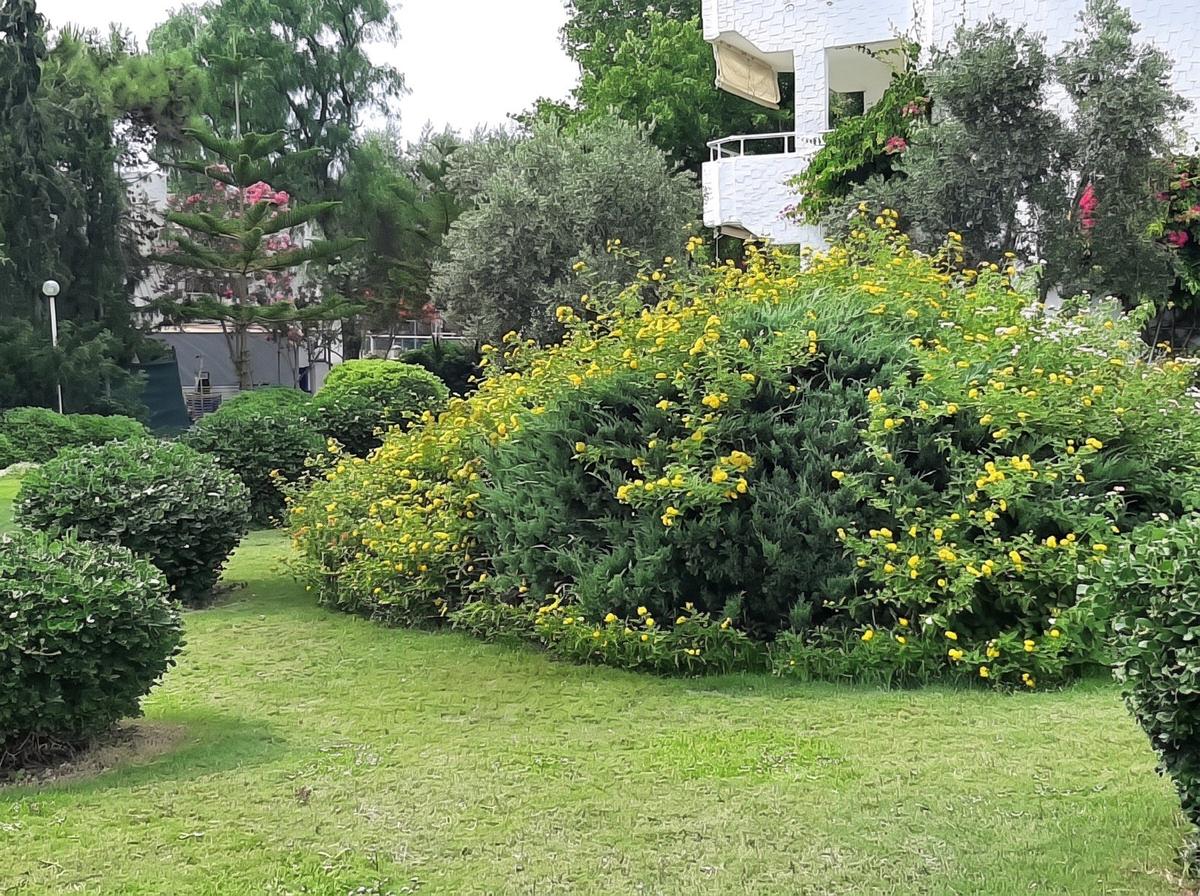 Datça Billurkent Tatil Köyünde İkinci Dönem Satılık Devre - 10