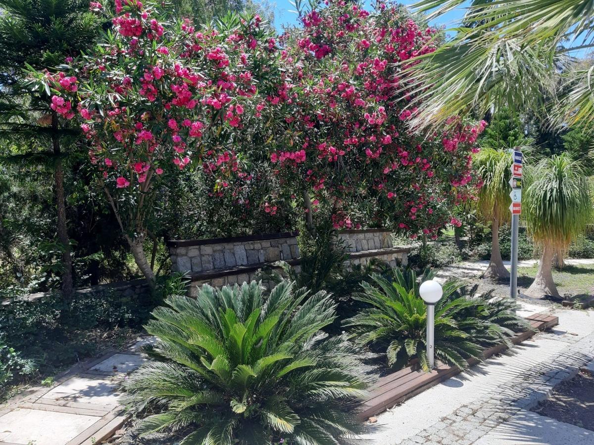 Datça Billurkent Tatil Köyünde İkinci Dönem Satılık Devre - 5