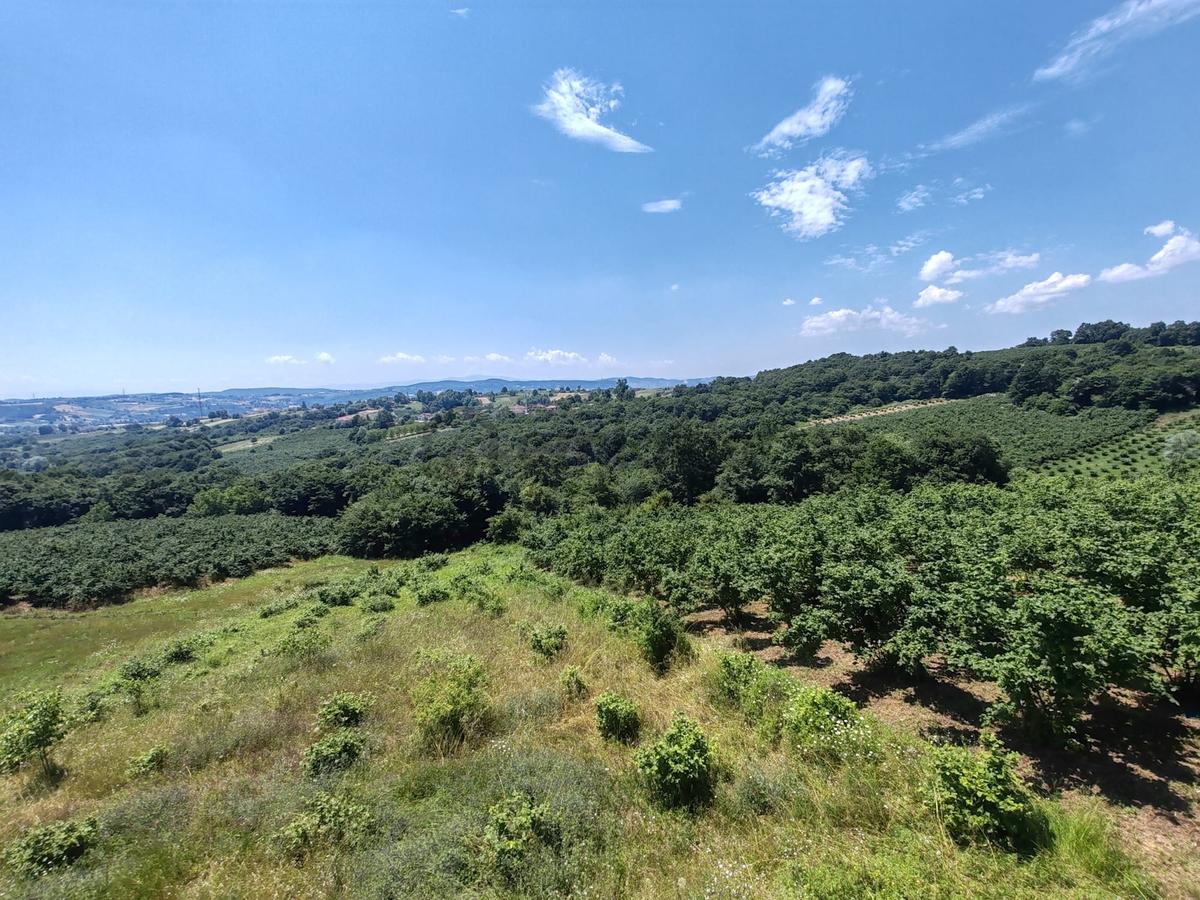 Kandıra Döngelli De 220 M2. ( 5+1 ) Dublex Müstakil Ev - 6