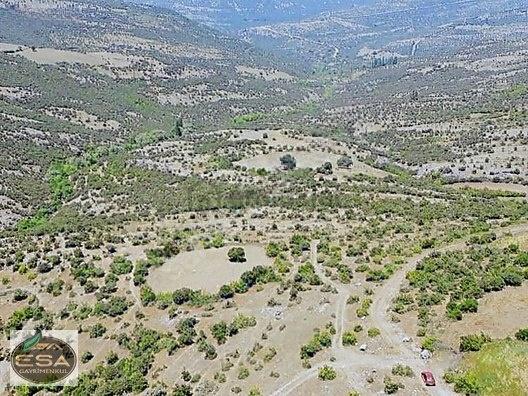 Balıkesir Kepsut Sayacık'da 1229 M2 Satılık Tarla - 14