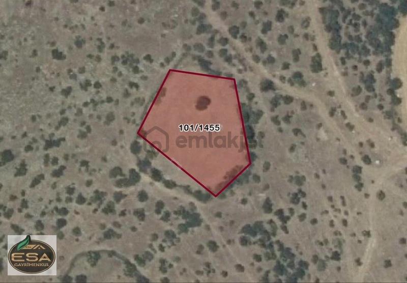Balıkesir Kepsut Sayacık'da 1229 M2 Satılık Tarla - 2