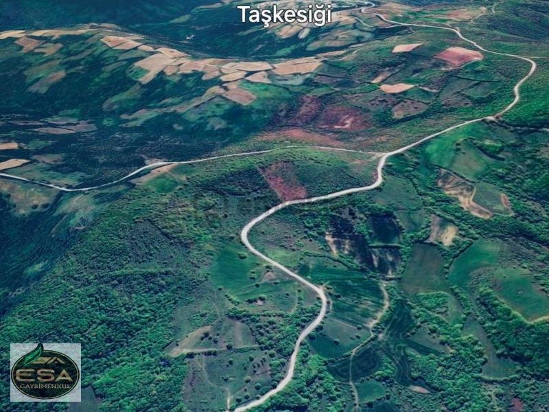 Balıkesir Karesi Taşkesiği'nde 12,454 M2 Satılık Tarla - 5