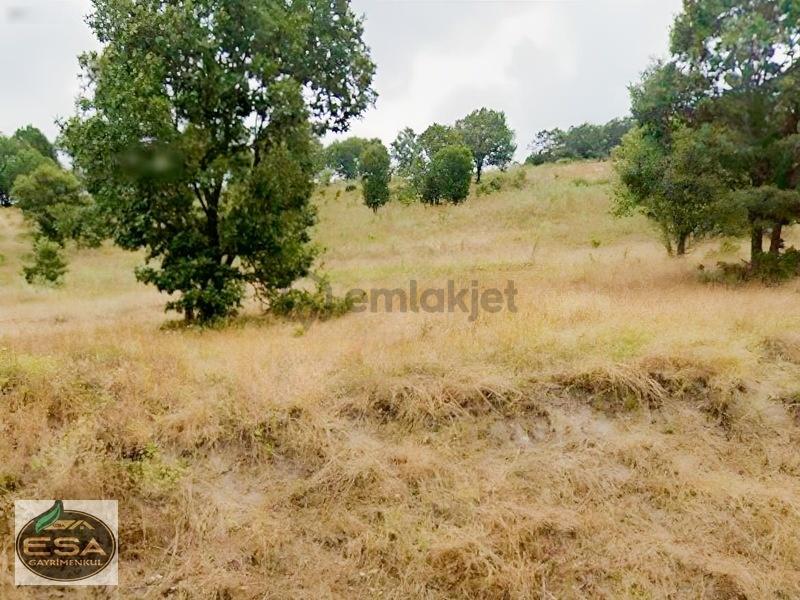 Balıkesir Karesi Taşkesiği'nde 12,454 M2 Satılık Tarla - 7