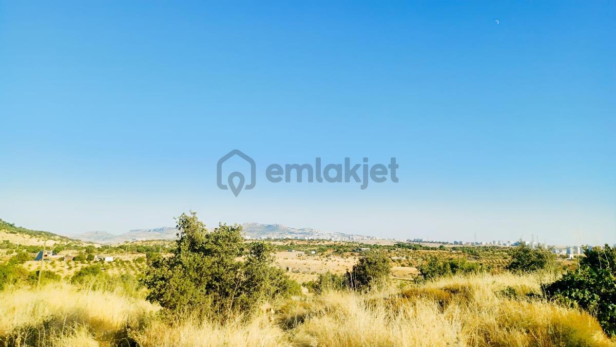 İzzetpaşa Yakını Satılık Müstakil Parsel - 3
