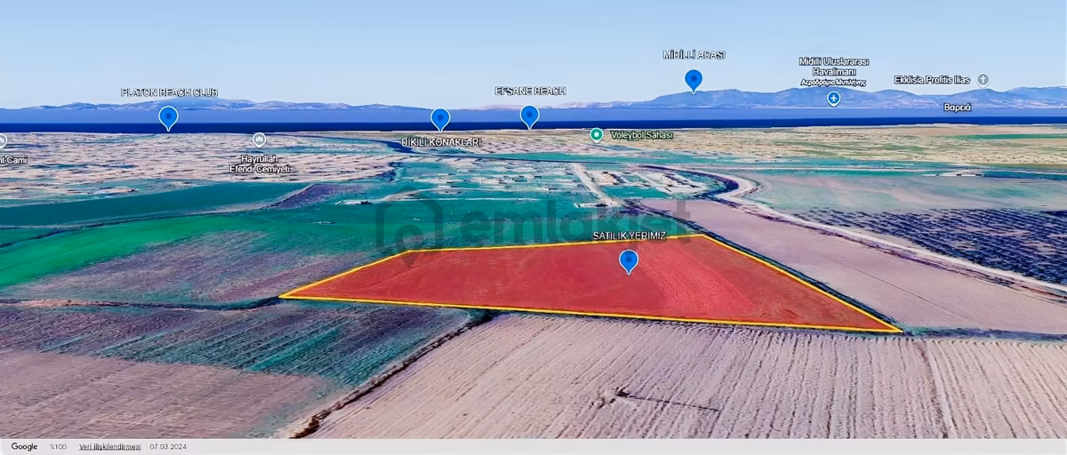 Dikili Salihlerde Satılık 500 M² Tarla Hissesi