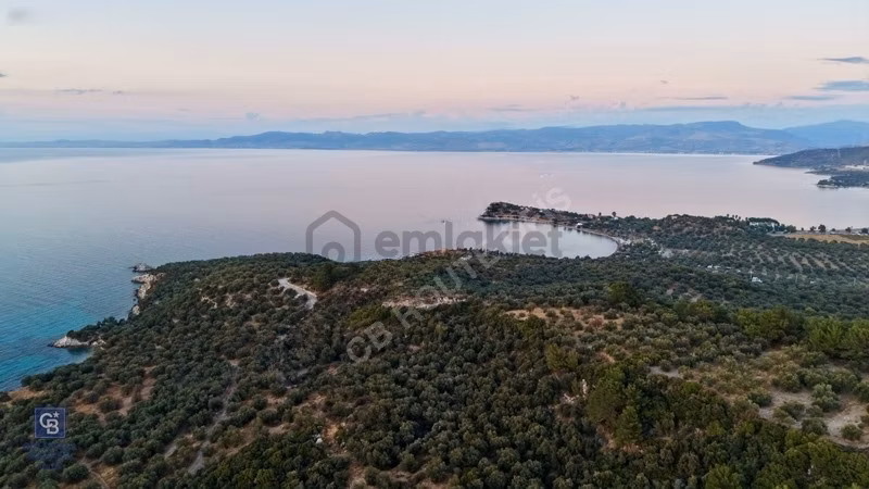 C.b. Route | Bademli | Denize 200 Metre | Değerli Bölgede Tarla - 4