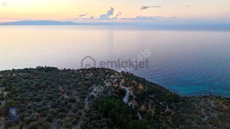 C.b. Route | Bademli | Denize 200 Metre | Değerli Bölgede Tarla - 3