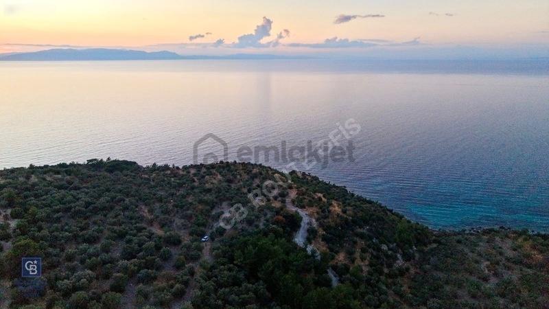 C.b. Route | Bademli | Denize 200 Metre | Değerli Bölgede Tarla - 5