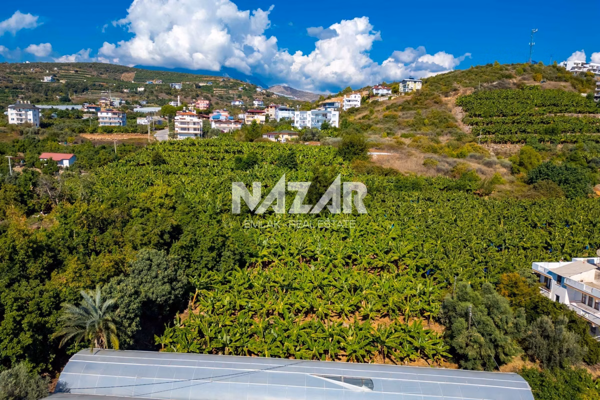 Alanya İshaklı’da 1.665 M2 Deniz Manzaralı Tarla - 15